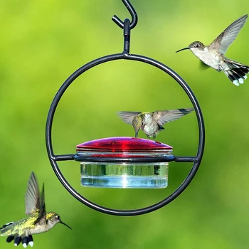חיצונית Humming ציפור מזין נמלה דבורה הוכחה להאכלת ציפורים עם מגש אדום קערת זכוכית החוצה לגינה האחורית הסיפון פטיו