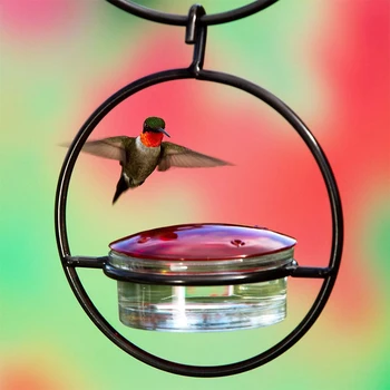 להאכלת ציפורים עם מגש זכוכית אדומה BowlOutdoor Humming ציפור מזין למשוך את הציפורים בחוץ, בגינה האחורית הסיפון פטיו