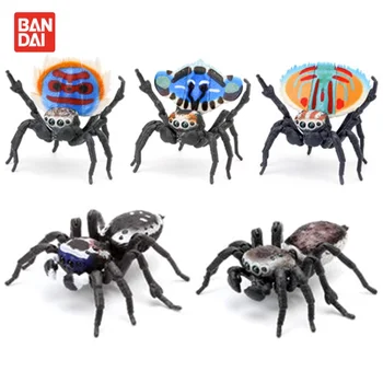 מקורי Bandai Gashapon גדול ביולוגי המפה סימולציה חרקים, עכביש Qversion חיות מודל הדמות צעצועים מתנות אוסף קישוט